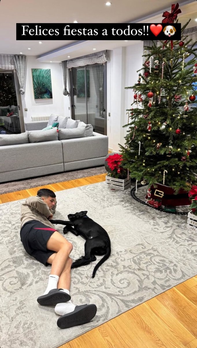 別人曬女友你曬狗，佩德里社媒曬照與愛(ài)犬共度平安夜??</p></div>
                <div   id=